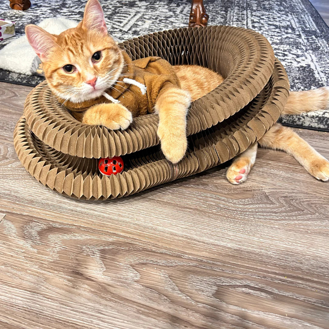 Kitty Kurlz™