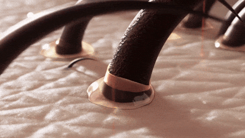3-in-1 Scalp Massager Pro